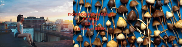 МДПВ Зеленокумск