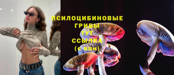 mdpv Зерноград
