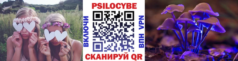 KRAKEN зеркало  Михайловка  Псилоцибиновые грибы Cubensis 