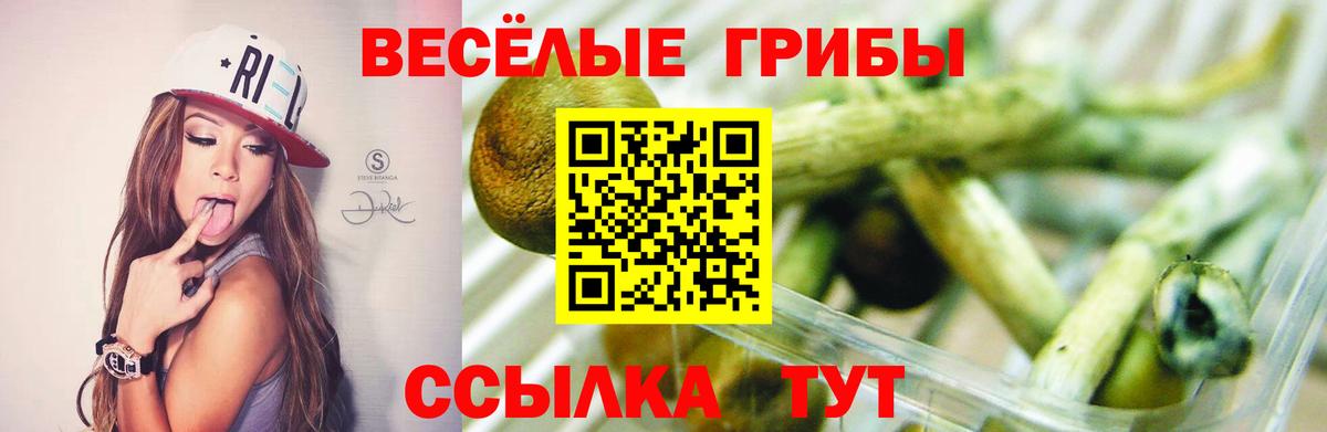 Псилоцибиновые грибы прущие грибы Михайловка